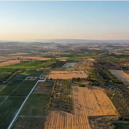 Cozzo Del Parroco - Ospitalita Tra I Vigneti-3